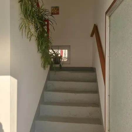 旅馆 Smestaj Stanojevic Pribojska Banja