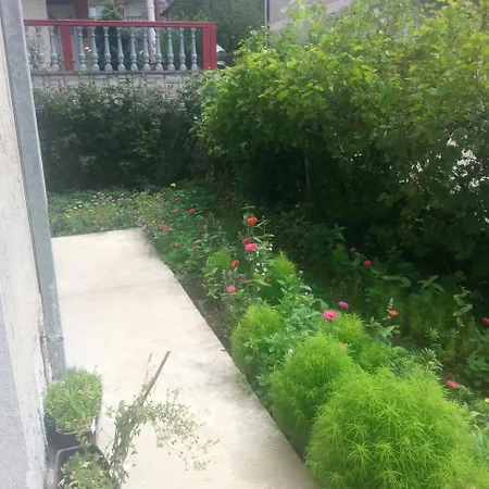 Smestaj Stanojevic 旅馆 Pribojska Banja